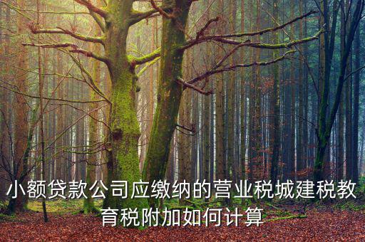 小額貸款公司如何繳稅，小額貸款公司的營業(yè)稅怎么算 sitewenwensosocom