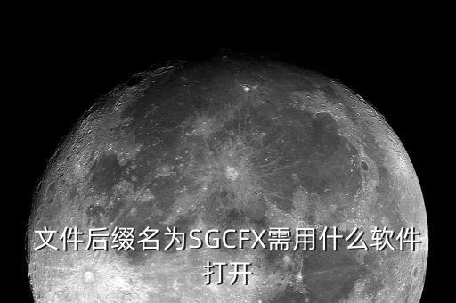 稅收調(diào)查用什么程序打開，文件后綴名為SGCFX需用什么軟件打開