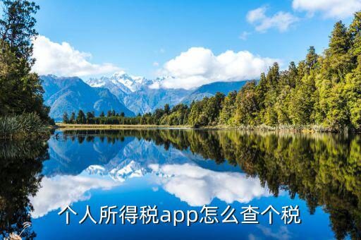 個人所得稅app怎么查個稅