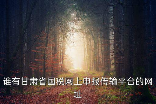 誰有甘肅省國稅網(wǎng)上申報(bào)傳輸平臺(tái)的網(wǎng)址