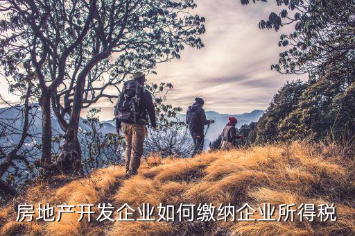 房地產(chǎn)企業(yè)如何申報稅，房產(chǎn)稅怎么申報