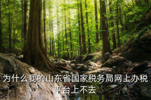 為什么我的山東省國家稅務(wù)局網(wǎng)上辦稅平臺上不去