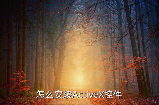 如何安裝scriptx，怎么安裝ActiveX控件