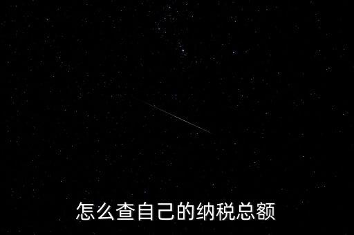 怎么查自己的納稅總額