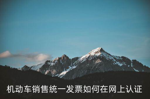 機動車銷售統(tǒng)一發(fā)票如何在網(wǎng)上認證