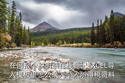 北京個(gè)稅明細(xì)申報(bào)如何導(dǎo)入，在網(wǎng)報(bào)個(gè)稅明細(xì)在線登記EXCEL導(dǎo)入模板里怎么錄入個(gè)人所得稅資料