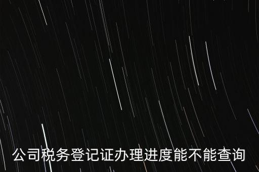 如何查詢企業(yè)稅務登記證，公司稅務登記證辦理進度能不能查詢