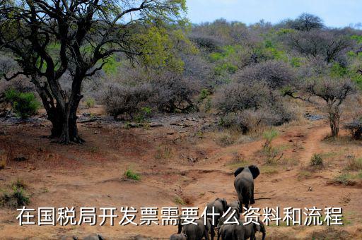 國稅局批票如何辦理，在國稅局開發(fā)票需要什么資料和流程