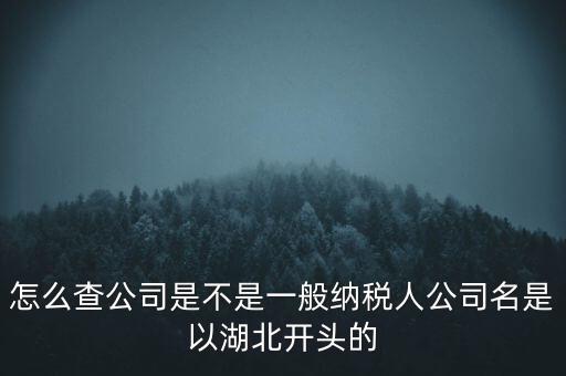 如何查詢企業(yè)是否是一般納稅人，怎么查公司是不是一般納稅人公司名是以湖北開頭的