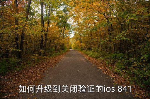 如何升級到關(guān)閉驗證的ios 841