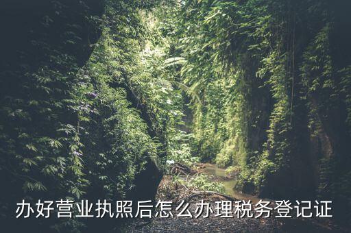 辦好營業(yè)執(zhí)照后怎么辦理稅務(wù)登記證