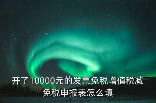 開了10000元的發(fā)票免稅增值稅減免稅申報表怎么填