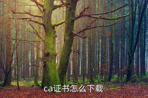 ca證書怎么下載