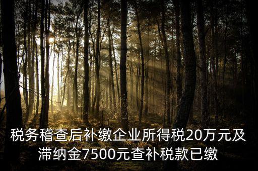 稅務(wù)稽查后補(bǔ)繳企業(yè)所得稅20萬元及滯納金7500元查補(bǔ)稅款已繳