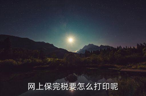 網(wǎng)上保完稅要怎么打印呢