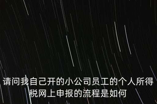 請(qǐng)問我自己開的小公司員工的個(gè)人所得稅網(wǎng)上申報(bào)的流程是如何