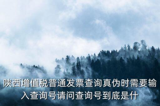 陜西增值稅普通發(fā)票查詢真?zhèn)螘r需要輸入查詢號請問查詢號到底是什