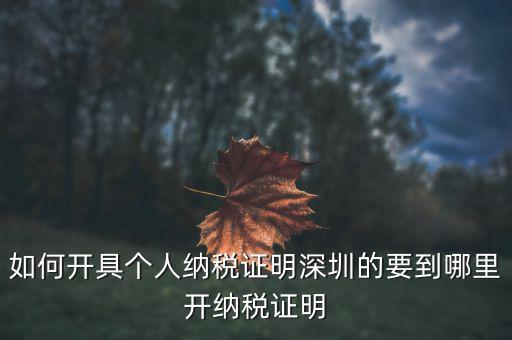 如何開(kāi)具個(gè)人納稅證明深圳的要到哪里開(kāi)納稅證明