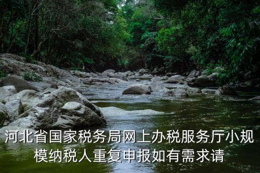 河北省國家稅務局網(wǎng)上辦稅服務廳小規(guī)模納稅人重復申報如有需求請