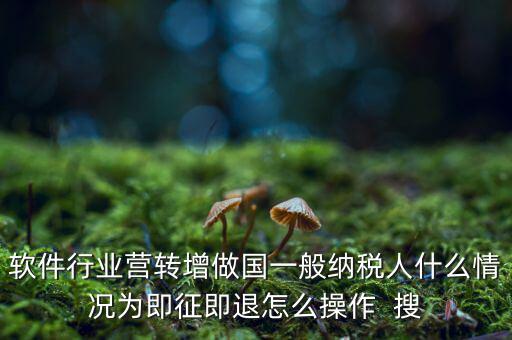 即征即退政策如何辦理，軟件行業(yè)營轉(zhuǎn)增做國一般納稅人什么情況為即征即退怎么操作  搜