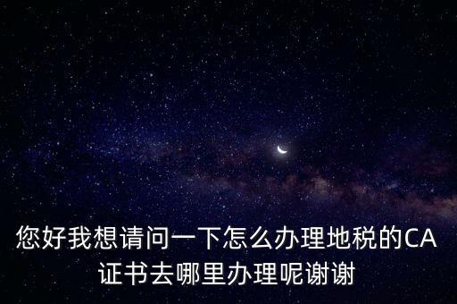 您好我想請(qǐng)問(wèn)一下怎么辦理地稅的CA證書去哪里辦理呢謝謝