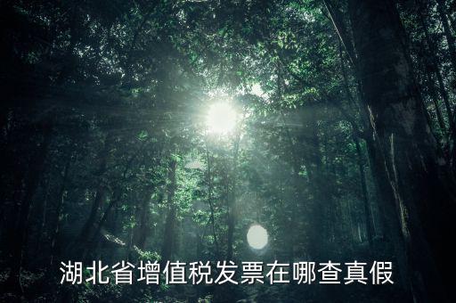 湖北省增值稅發(fā)票在哪查真假