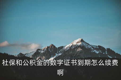 社保和公積金的數(shù)字證書到期怎么續(xù)費(fèi)啊