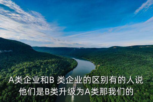 A類企業(yè)和B 類企業(yè)的區(qū)別有的人說他們是B類升級(jí)為A類那我們的