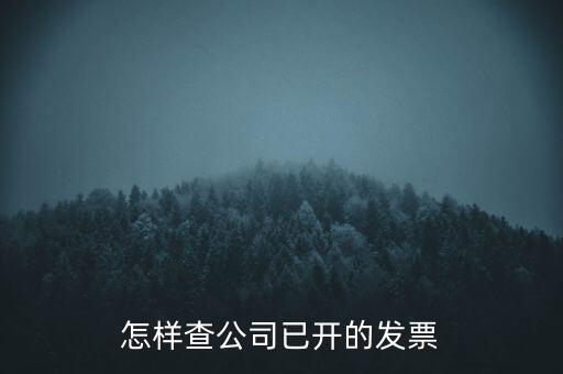 如何查企業(yè)的開票資料，如何查詢其他企業(yè)開具給本企業(yè)的發(fā)票