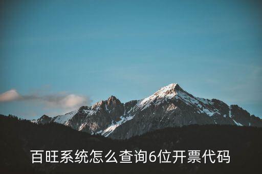 百旺系統(tǒng)怎么查詢6位開票代碼