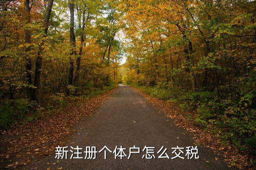 新注冊(cè)個(gè)體戶怎么交稅