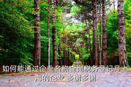 如何查詢稅務登記號碼，如何能通過企業(yè)名稱查詢稅務登記號上海的企業(yè) 多謝多謝