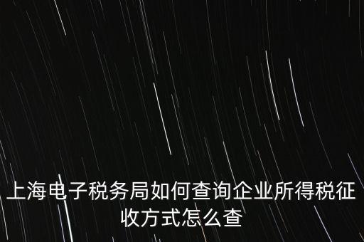 網(wǎng)上稅務(wù)局如何查企業(yè)所得稅，怎么查企業(yè)是否繳稅