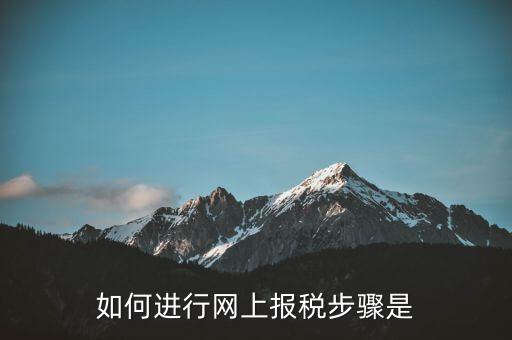 如何推行網(wǎng)上辦稅，如何辦理網(wǎng)上納稅