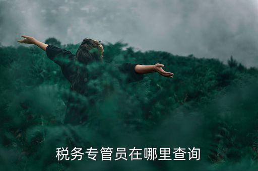 北京如何查詢稅務(wù)專管員，如何在網(wǎng)上查詢國稅專管員