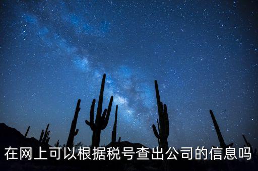 在網(wǎng)上可以根據(jù)稅號查出公司的信息嗎