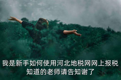 我是新手如何使用河北地稅網(wǎng)網(wǎng)上報稅知道的老師請告知謝了