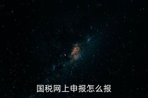 國稅網(wǎng)上申報怎么報