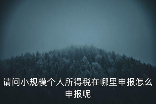 如何申報(bào)自然人兩處所得，請(qǐng)問小規(guī)模個(gè)人所得稅在哪里申報(bào)怎么申報(bào)呢