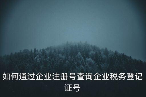 如何查詢公司稅務編號查詢系統(tǒng)，公司的稅務登記證號怎么查詢