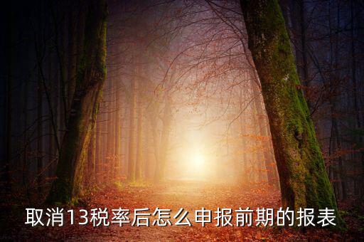 取消13稅率申報表如何填，13的稅率沒了納稅申報以后怎么辦