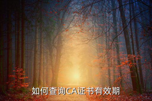 地稅ca如何查詢有效期，從哪里查地稅CA證書過(guò)期沒(méi)