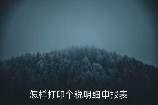 怎樣打印個(gè)稅明細(xì)申報(bào)表