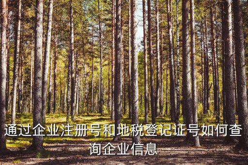 企業(yè)稅務信息如何查詢，通過企業(yè)注冊號和地稅登記證號如何查詢企業(yè)信息