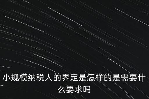 小規(guī)模納稅人的界定是怎樣的是需要什么要求嗎