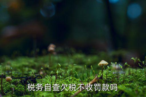 欠稅人員如何查詢(xún)，稅務(wù)自查欠稅不收罰款嗎