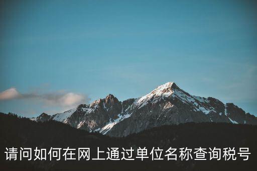 稅號如何查詢網(wǎng)站，怎么在網(wǎng)上查企業(yè)稅號