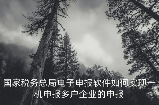 國家稅務總局電子申報軟件如何實現(xiàn)一機申報多戶企業(yè)的申報