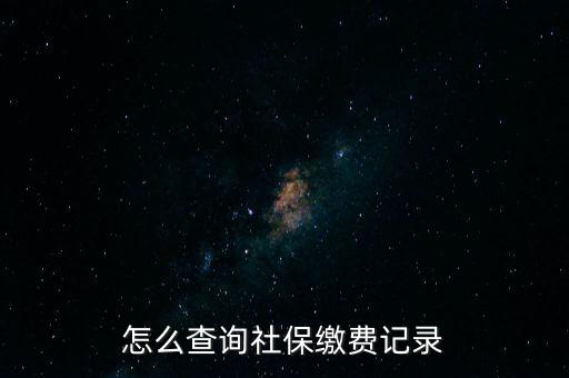 如何在地稅網(wǎng)繳納社保查詢，單位交了社保費(fèi)在地稅網(wǎng)怎么查詢