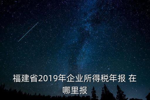 福建省2019年企業(yè)所得稅年報(bào) 在哪里報(bào)